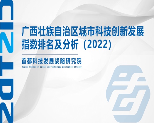 男女日屄进出视频【成果发布】广西壮族自治区城市科技创新发展指数排名及分析（2022）